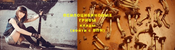 твердый Саяногорск