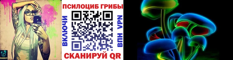 Купить  Рошаль  Галлюциногенные грибы прущие грибы 